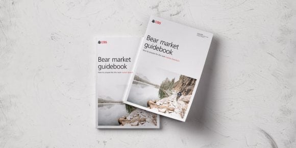 Bear market guidebook