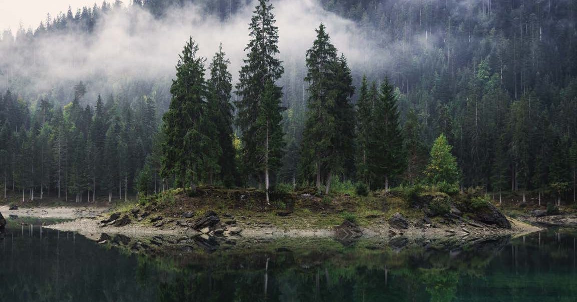 Considering natural capital as an investor | UBS Australia