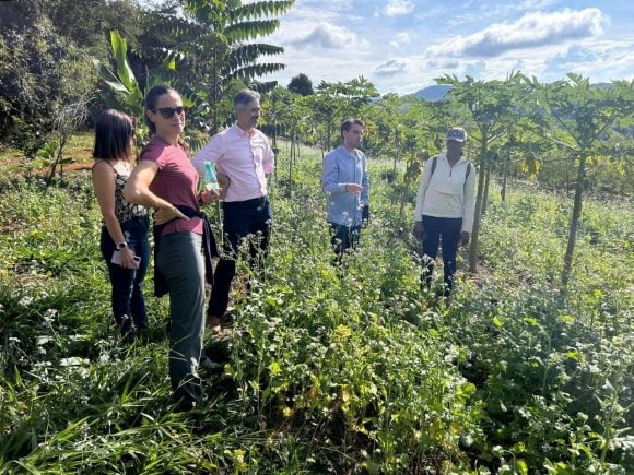 NbS Investment Accelerator: The Brazil Collaborative