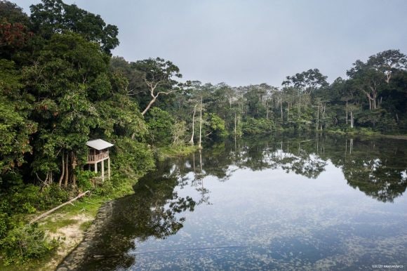 Catalysing Innovative Finance for High Integrity Tropical Forests