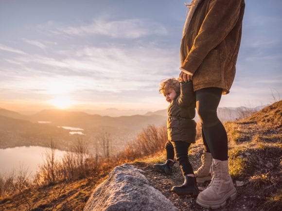 Ein Feld blühender Kosmosblumen im Sonnenlicht.