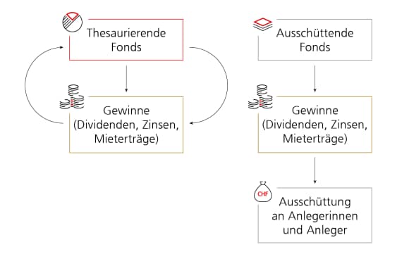 Die Infografik veranschaulicht den Unterschied zwischen thesaurierenden Fonds und ausschüttenden Fonds.