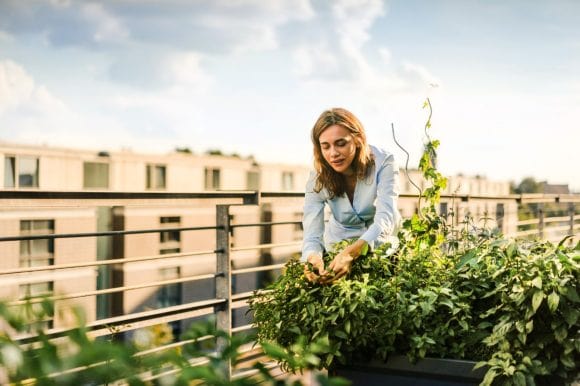 Frauen pflanzen ihre Blumen auf einer sonnigen Terrasse.