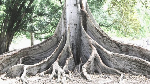 Driving significant change