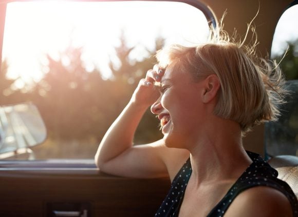 Un champ en fleurs au soleil.