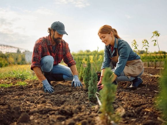 Couple working in garden