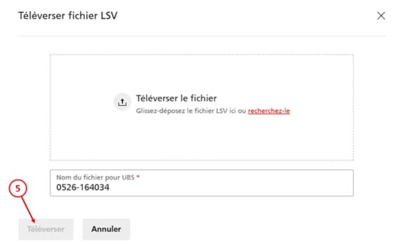 Capture d’écran de l’e-banking pour le téléchargement d’un nouveau fichier LSV