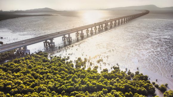 Mumbai Trans Harbour Link