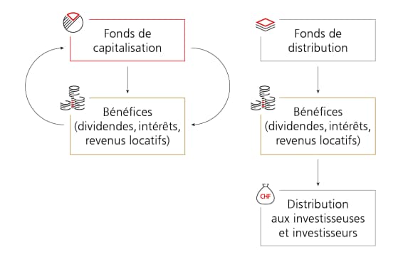 L’infographie illustre la différence entre les fonds de capitalisation et les fonds de distribution.