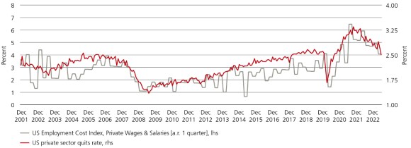 The graph showing indicators of the US labor market (the US Employment Cost Index and the US private sector quits rate).
