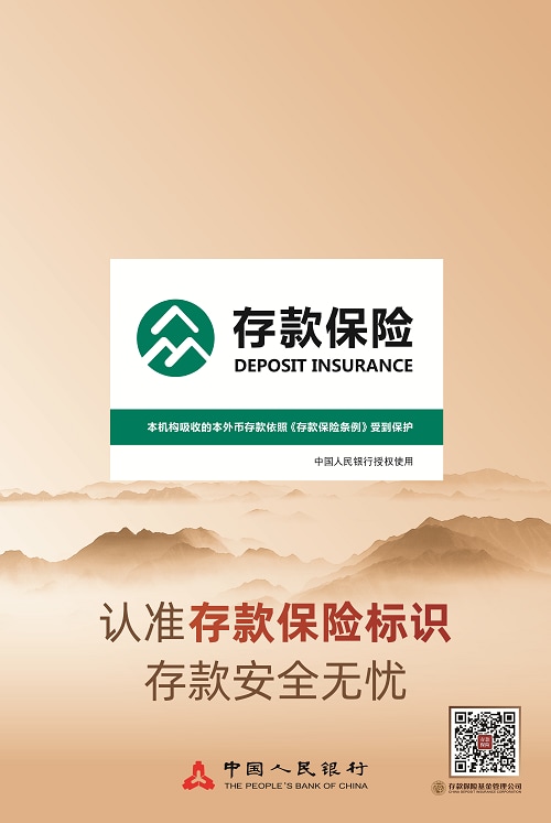 存款保险