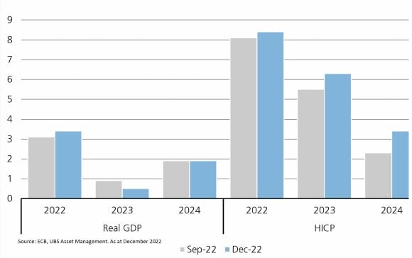 European economic and inflation projections for 2022 through to 2024.