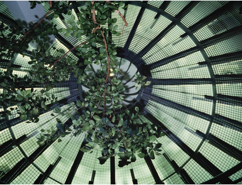 A glass dome