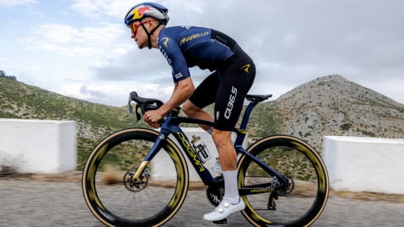 Professional road cyclist