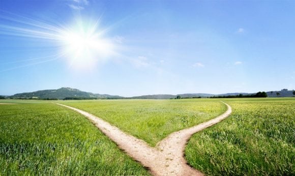 Green field with two ways