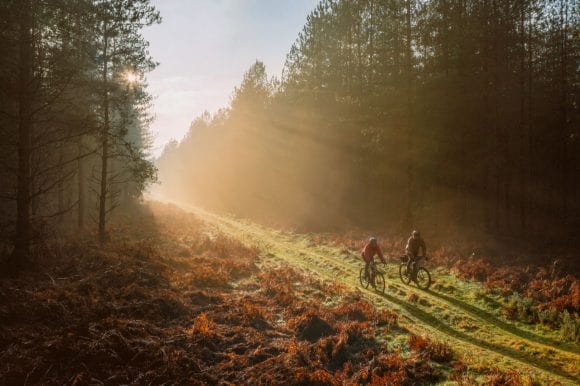 People riding bicycles on a path through a forest
