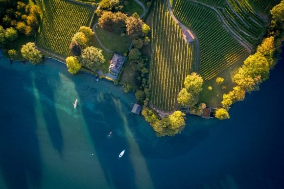 Flusslandschaft mit Weinbergen