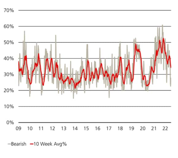 Line charts showing the results of the American Association of Individual Investors survey of investor sentiment towards the stock market, showing bearish