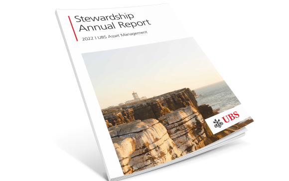 Stewardship Annual Report 2022