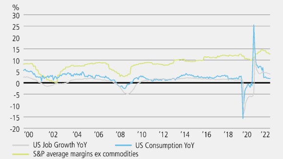 A line graph showing the correlation of S&P 500 profit margins against jobs and consumption growth