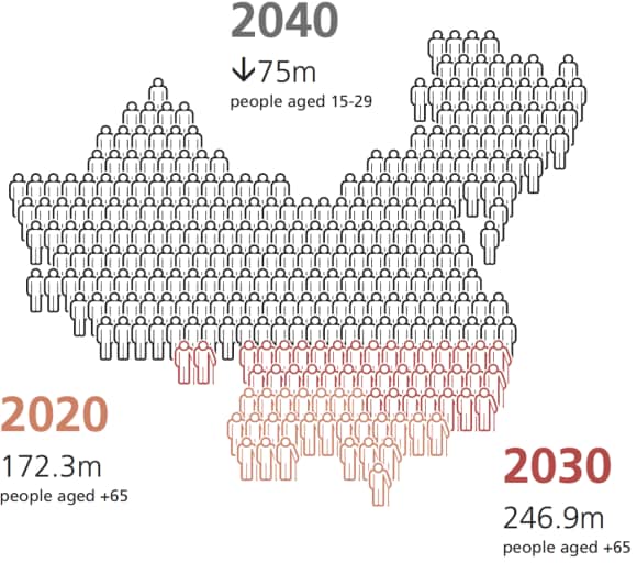 China's 65+ population: 172.3million (2020) and 246.9million (2030), according to UN
