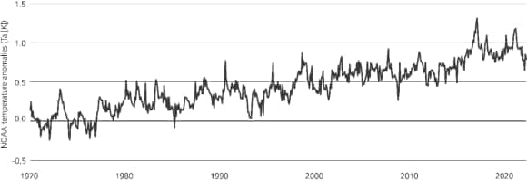 Chart showing increasement of temperature. Anomalies,