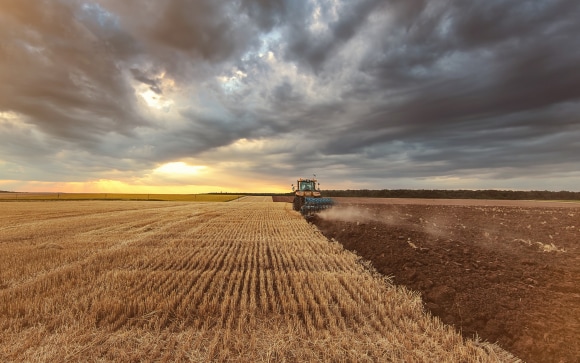 Tractor harvesting a large agricultural field at sunset 