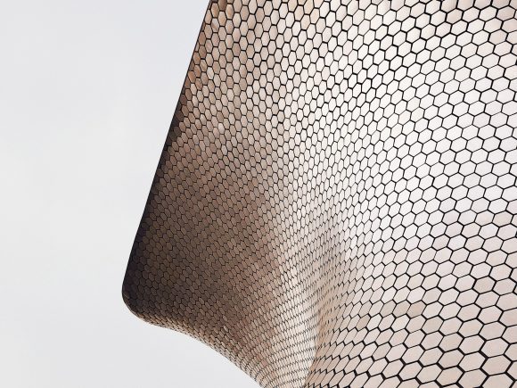 Image for Active Management