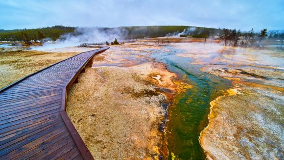 Foggy winter at Yellowstone on wet boardwalks over green creeks in basin