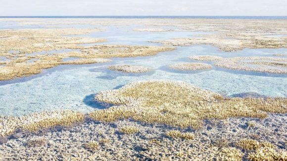 Hedging Climate Change News