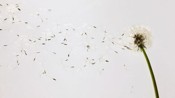 Enhancing traditional equity style factors with Machine Learning