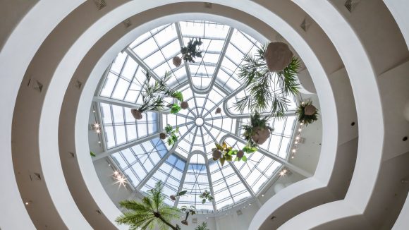 Glass dome with hanging plants