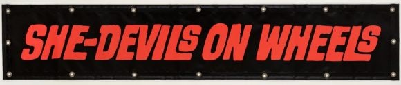 she-devils on wheels image