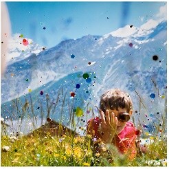 Sebastiaan Bremer, ‘Large Schoener Goetterfunken XVI, Flowers in calls forth from their buds’ (Blumen lockt sie aus den Keimen)’, 2010. UBS Art Collection © Sebastiaan Bremer courtesy of the artist and Hales Gallery