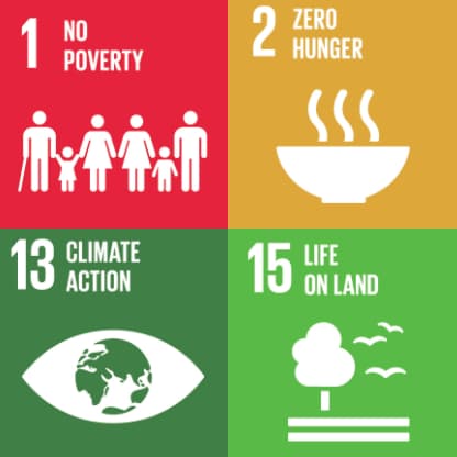 Sustainable Development Goals  1 2 13 and 15