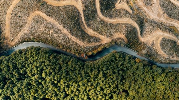 Road separating deforested and reforested areas