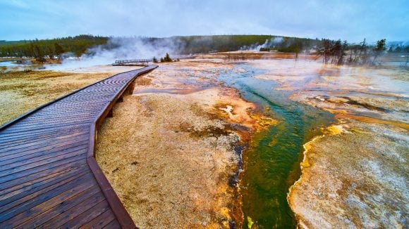 Foggy winter at Yellowstone on wet boardwalks over green creeks in basin