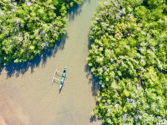 Aerial view of boats in a forest river