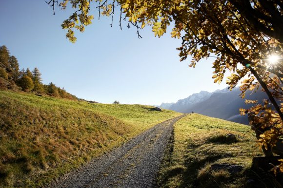 Pathway in mountain landscape, Engadine
