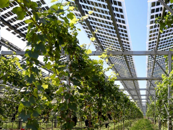 Solar panel