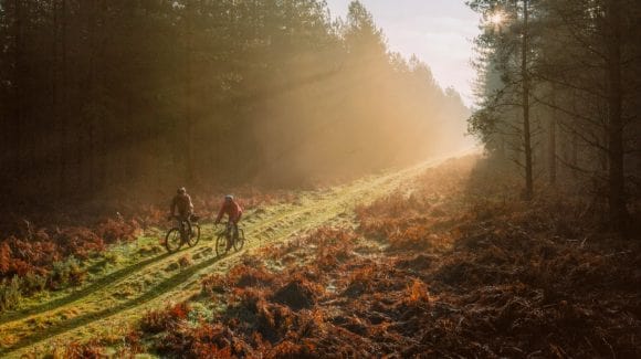 Two men cycling through forest