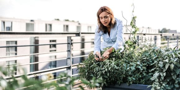 woman care about plants