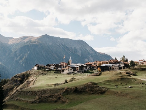 Benefizia suisse