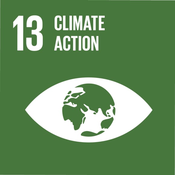 SDG 7 icon