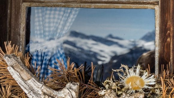 Alpine Property Focus