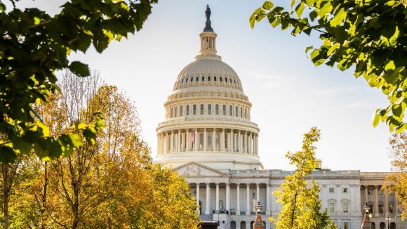 US Capitol building framed by trees in autumn sunlight