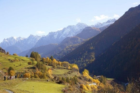 Global Financial Reputation