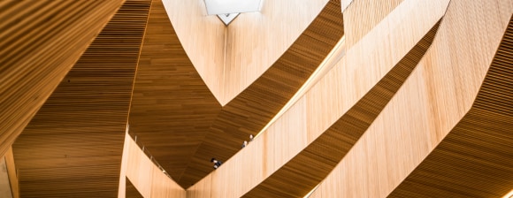 ¿Cuál es la perspectiva para el crecimiento?