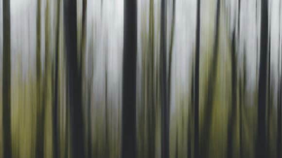 Líneas verticales abstractas en verde y blanco, efecto de movimiento