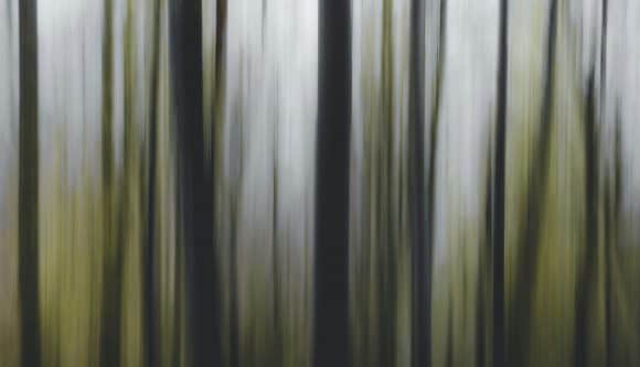 Líneas verticales abstractas en verde y blanco, efecto de movimiento